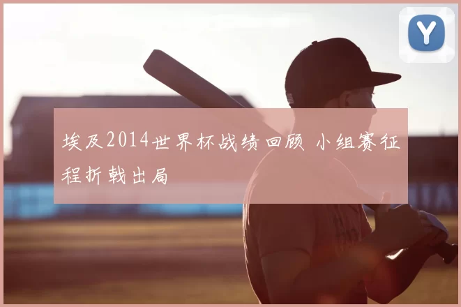 埃及2014世界杯战绩回顾 小组赛征程折戟出局