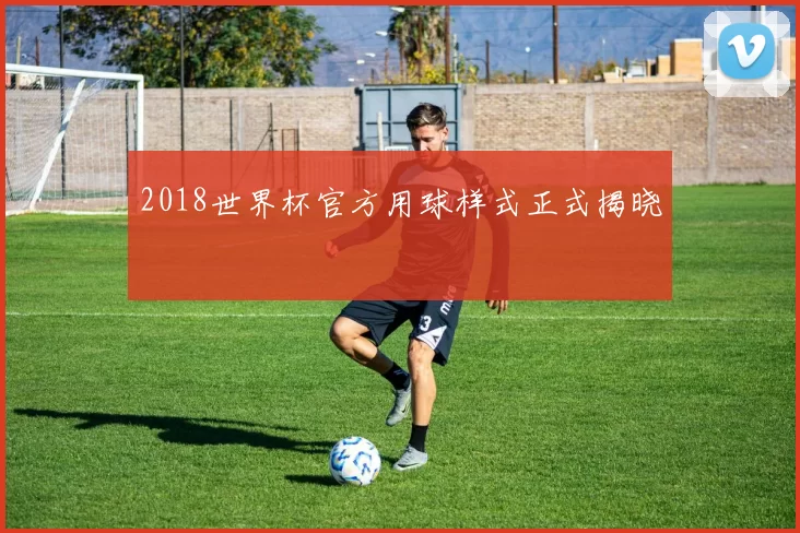2018世界杯官方用球样式正式揭晓