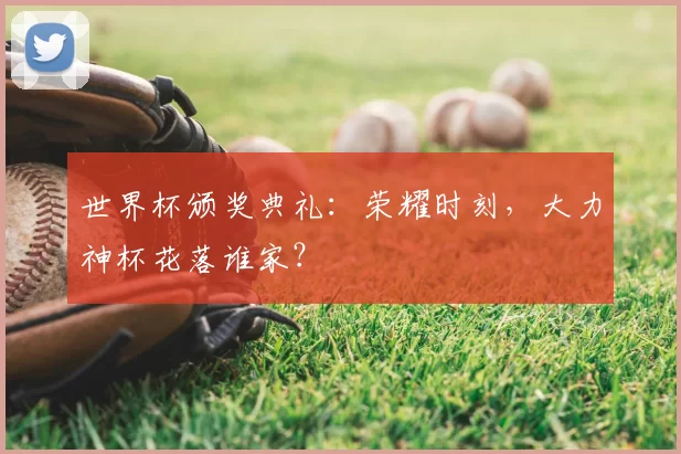 世界杯颁奖典礼:荣耀时刻,大力神杯花落谁家?