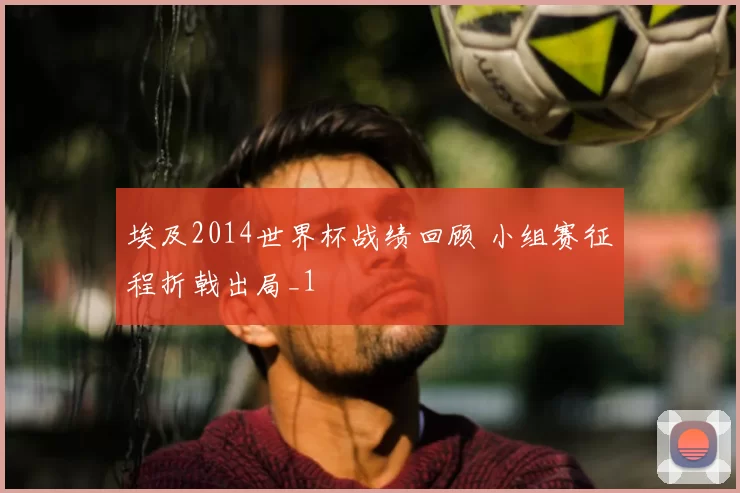 埃及2014世界杯战绩回顾 小组赛征程折戟出局_1