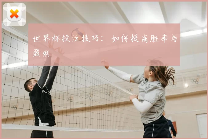 世界杯投注技巧：如何提高胜率与盈利