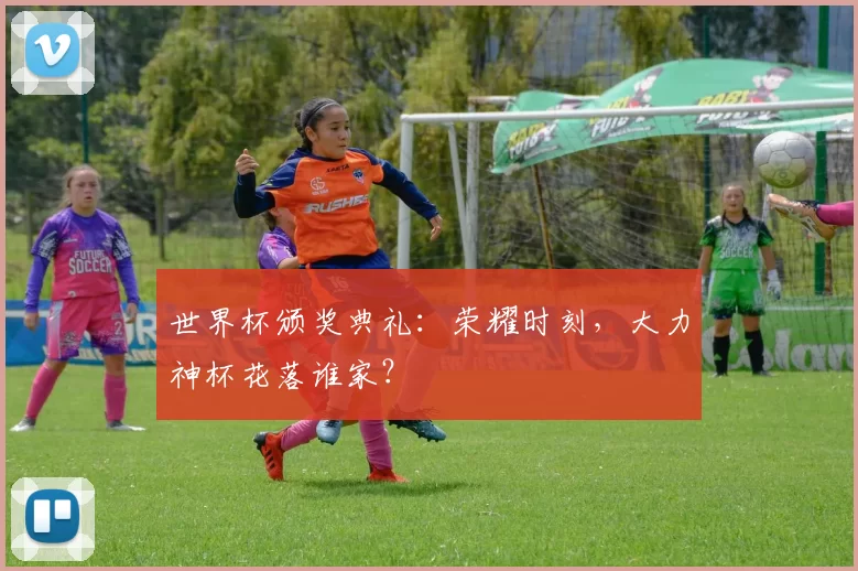 世界杯颁奖典礼:荣耀时刻,大力神杯花落谁家?