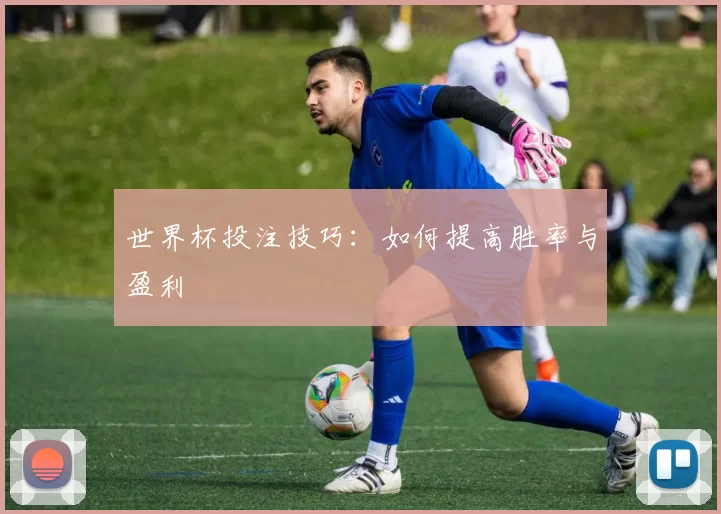 世界杯投注技巧:如何提高胜率与盈利