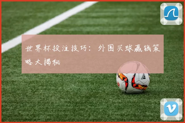 世界杯投注技巧：外围买球赢钱策略大揭秘